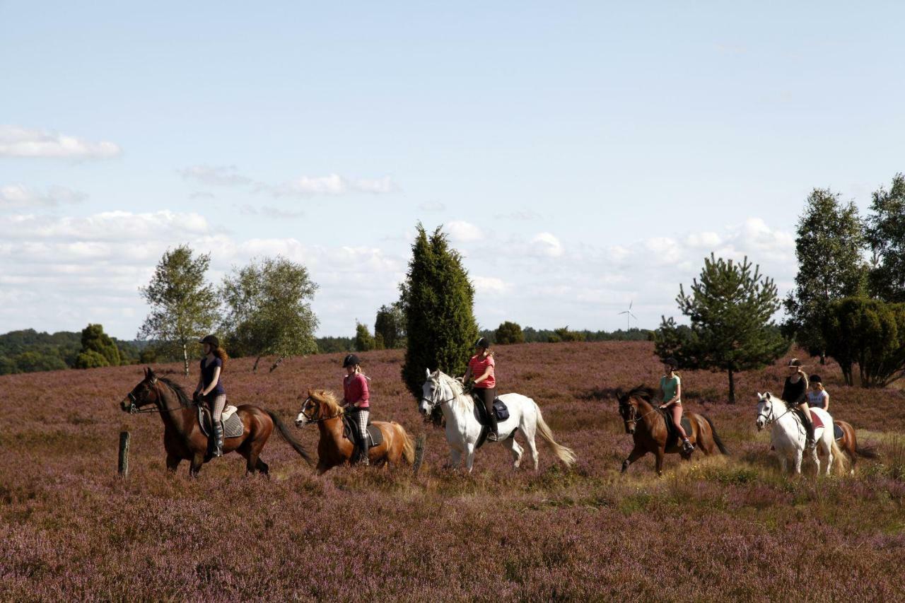 Ferienhof Cohrs Bispingen Exteriér fotografie